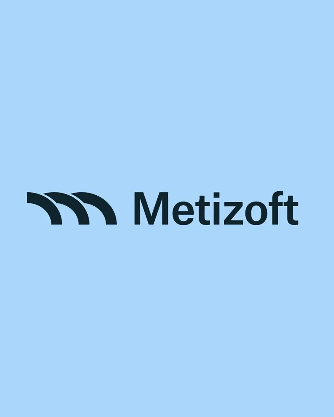 Metizoft